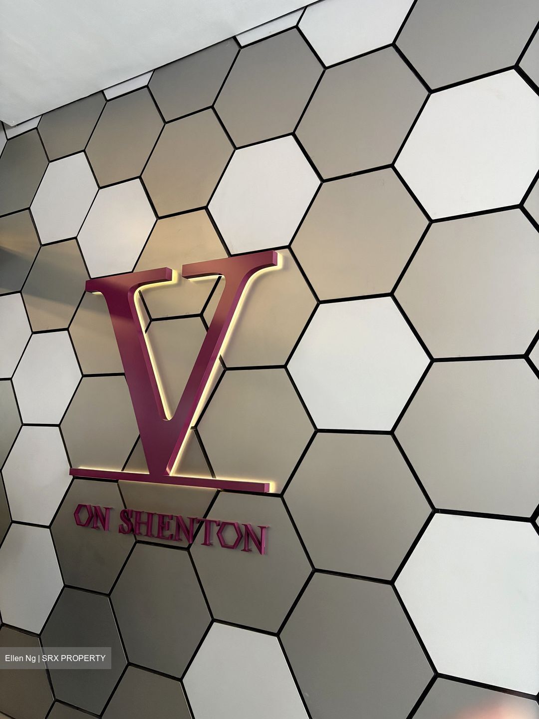 V On Shenton (D1), Apartment #447552211